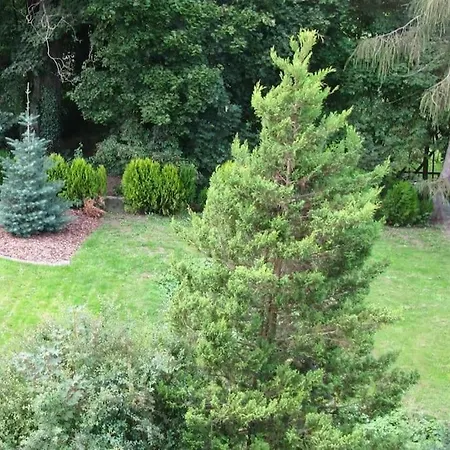 Apartment Green *